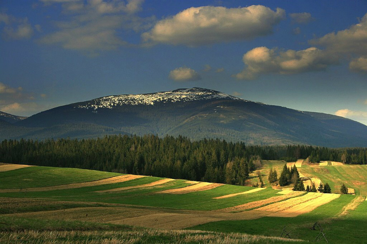 Babia hora