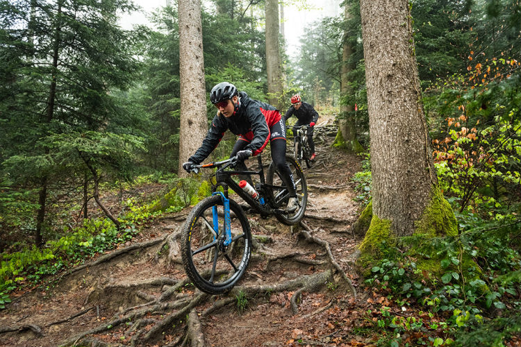 Ghost Factory Racing Tím