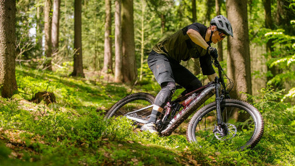 Požičovňa elektrobicyklov Kubínska hoľa