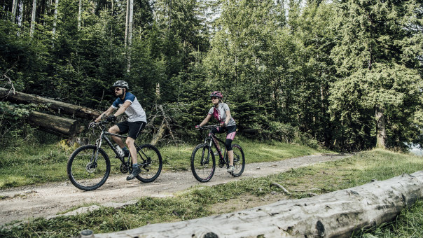 Bicykle Kross 