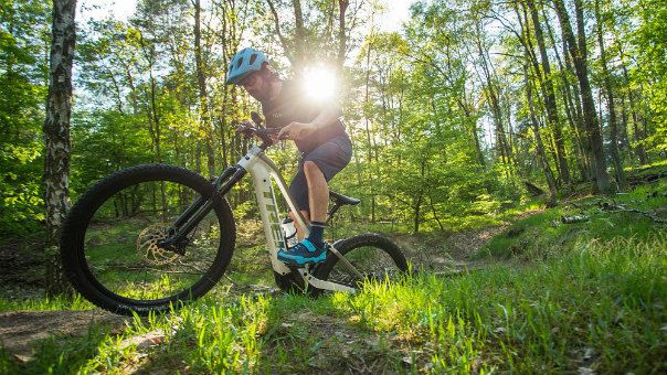 Trek Powerfly
